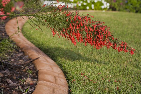 Brick Edging in Baton Rouge