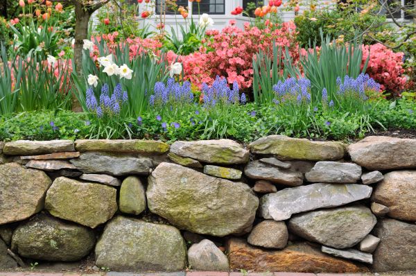 Stone Wall Hardscaping in Baton Rouge