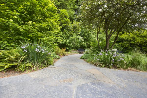 Stone Hardscape Service in Baton Rouge